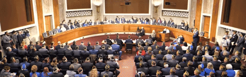 Washington Conference Hero Gif Test