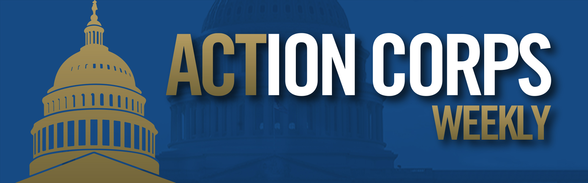 Action Corps Weekly Hero 2021