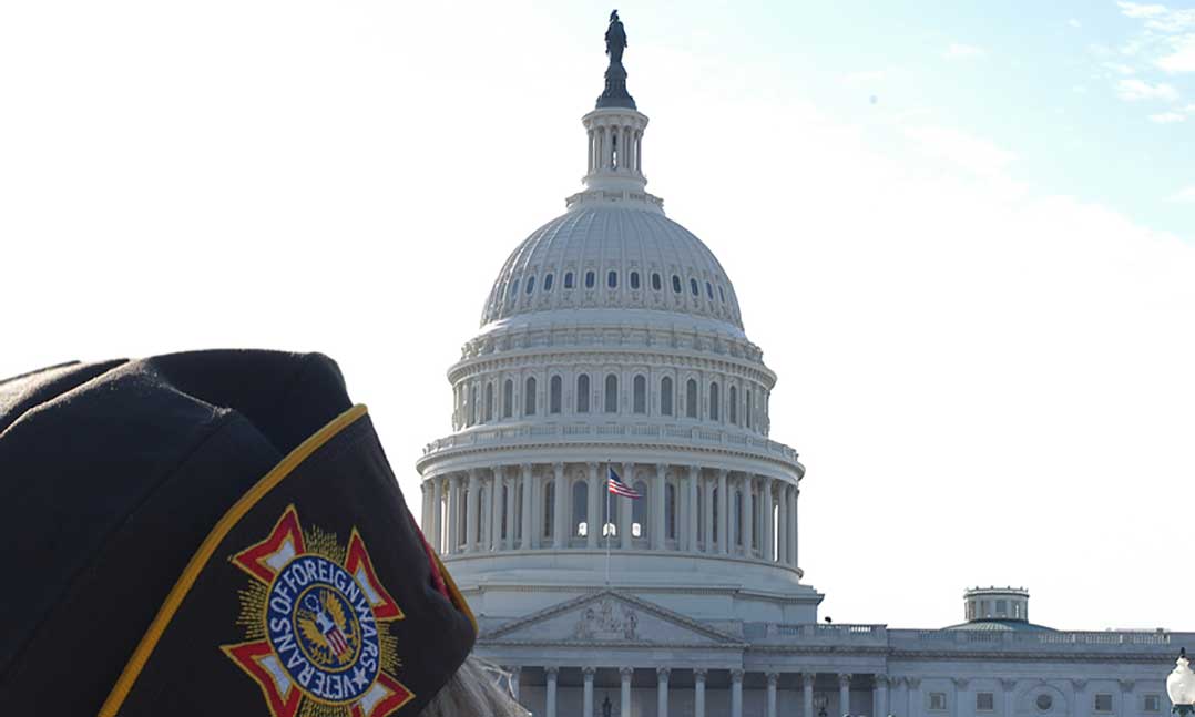 National Legislative Services