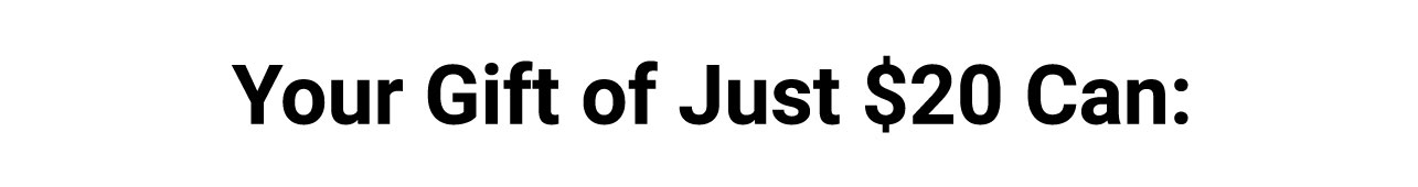 Your gift of just $20 can
